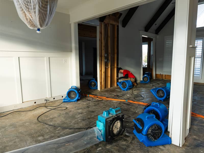 Water Mitigation & Restoration